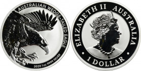 Australia, Elizabeth II, 1 Perth Dollar 2020 - Australian Wedge-Tailed Eagle