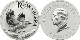 Australia, Charles III, 1 Dollar Perth 2024 P - Kookaburra