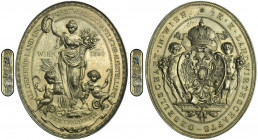 Austria, Silver Medal of Merit, General Exhibition of Earth and Forestry 1890
