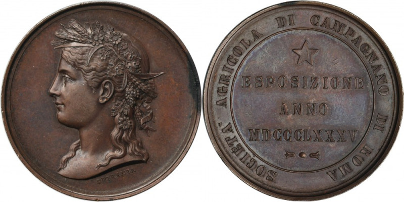 Italy, Medal Agricultural Exhibition Rome 1885 Issue on the occasion of the agri...