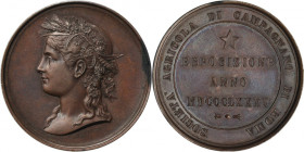 Italy, Medal Agricultural Exhibition Rome 1885
