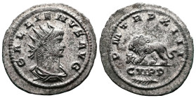 Gallien, 253-268. Silvered Bronze Antoninianus (23 mm, 3.38 g.), Antioch mint. GALLIENVS AVG, radiate, draped bust of Gallienus to right. Rev. PM TR P...
