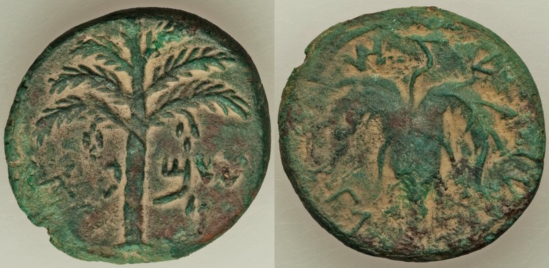JUDAEA. Bar Kochba Revolt (AD 132-135). AE middle bronze (25mm, 10.23 gm, 6h). X...