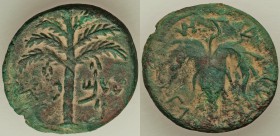 JUDAEA. Bar Kochba Revolt (AD 132-135). AE middle bronze (25mm, 10.23 gm, 6h). XF. Undated issue of Year 3 (AD 134/5). Simon (Paleo-Hebrew), seven-bra...