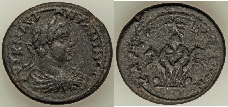 CILICIA. Hierapolis-Castabala. Elagabalus (AD 218-222). AE (32mm, 19.08 gm, 12h)...