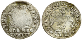 Lithuania Grosz 1546 Vilnius - date in circle (RR) - Depicted in Catalogue