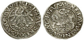 Lithuania Polgrosz 1560 Vilnius (R) - L/LITVA Depicted in Catalogue