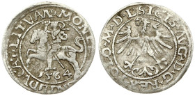 Lithuania Polgrosz 1564 Vilnius L/LITVAN (RRR) - Depicted in Catalogue
