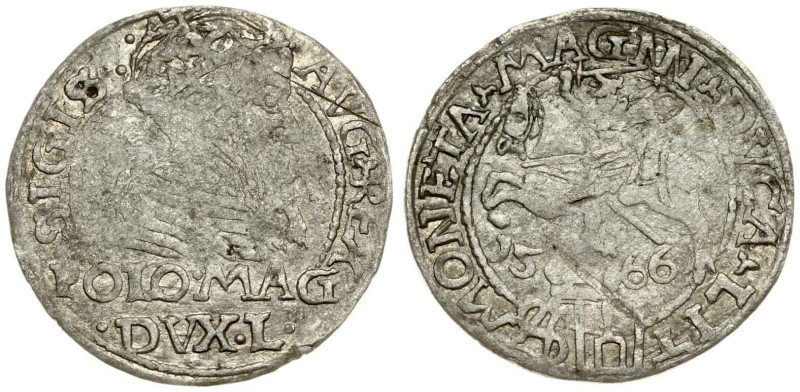 Lithuania. Zygmunt II August (1545-1572). Grosz 1566 Tykocin. Variety with MAGNN...