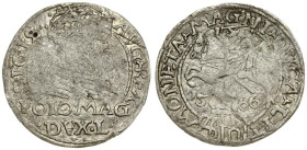 Lithuania Grosz 1566 Tykocin (RR) - MAGNN