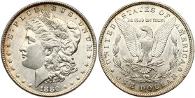 USA Morgan Dollar 1880