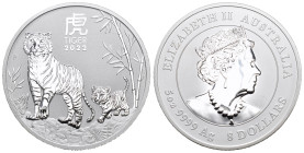 AUSTRALIEN 2022 5 Unze Silber 155g selten, Lunar Tiger, in Kapsel Proof