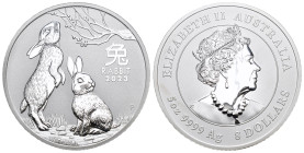 AUSTRALIEN 2023 5 Unze Silber 155g selten, Lunar Rabbit, in Kapsel Proof