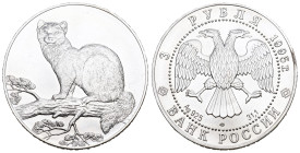 RUSSLAND 1995 3 Rubel Silber 34.5g KM 473 FDC