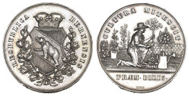 Bern O.J um 1820 Schulprämie Gärtnerpfennig Silber 7.6g M+H 175 fast FDC