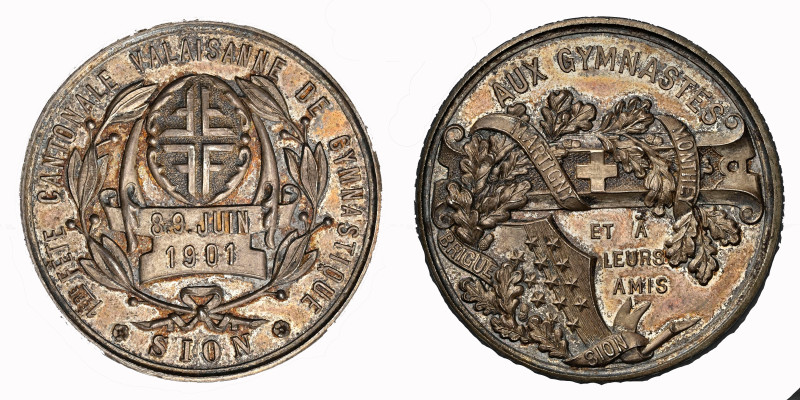 Schweiz | Switzerland | Suisse | Svizzera Wallis Silbermedaille 1901 33mm NGC MS...