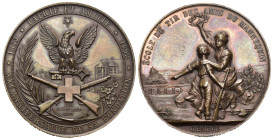 Genf/Genève. AE Schützenmedaille 1893 (45 mm, 50.01 g), Ecole de tir des amis du mannequin. XXème anniversaire de la fondation. Richter 679c (RR). Seh...