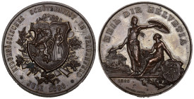 Thurgau. Kupfermedaille 1890. Frauenfeld. Eidgenössisches Schützenfest. 53.42 g. Richter (Schützenmedaillen) 1250c. Bis unzirkuliert