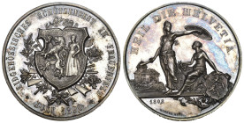 Thurgau. Silbermedaille 1890. Frauenfeld. Eidgenössisches Schützenfest. 38.62 g. Richter (Schützenmedaillen) 1250b Originalbox FDC