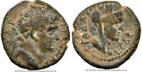 DECAPOLIS. Gadara. Titus (AD 79-81). AE (16mm, 12h). NGC Choice Fine. Dated Civic Year 137 (AD 73/4). ΤΙΤΟΣ ΚΑΙΣΑΡ, laureate head of Titus right / ΓΑΔ...
