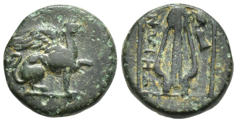 Ionia, Teos. Ae, (12mm, 1.7 g). Circa 210-190 BC. Obv: Griffin seated to right, ...