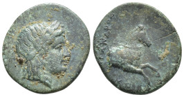 Ionia, Kolophon, c. 360-330 BC. Æ Chalkous (13mm, 1.7 g). Laureate head of Apollo r. R/ Forepart of horse r.