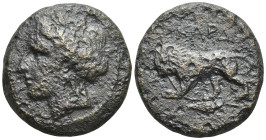 THRACE, Kardia. (Circa 357/46-309 BC). AE. (8.7 Gr. 20mm.)
Head of Persephone left, wearing grain wreath.
 Rev. Lion standing left