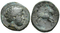 KINGS OF MACEDON. Philip II (359-336 BC). Ae. (17mm, 5.7 g) Uncertain mint in Macedon. Obv: Head of Apollo right, wearing taenia. Rev: ΦIΛIΠΠOY. Naked...