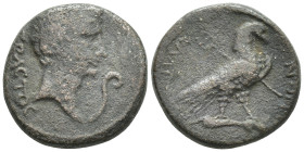 PHRYGIA. Amorium. Augustus (27 BC-14 AD). AE.(4.5 Gr. 17mm.)
 Bare head right; lituus to right. 
Rev. Eagle standing right on uncertain object; caduce...
