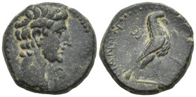 PHRYGIA. Amorium. Augustus (27 BC-14 AD). AE.(5.5 Gr. 16mm.)
 Bare head right; lituus to right. 
Rev. Eagle standing right on uncertain object; caduce...