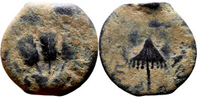 JUDAEA. Jerusalem mint. Agrippa I (under Claudius, 37-44 AD). AE prutah. Obv.: ΒΑCΙΛΕWC ΑΓΡΙΠΑ; Umbrella-like canopy with fringes. Rev.: Three ears of...