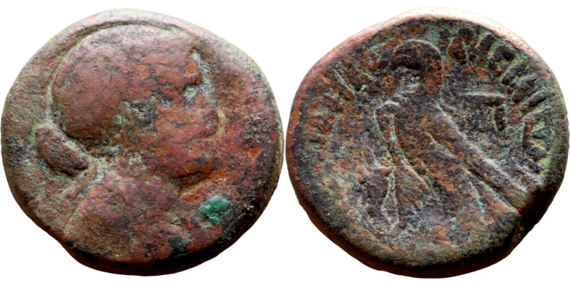 Cleopatra VII (51 – 30 BC) Bronze coin. Obverse: Diademed bust of Cleopatra righ...