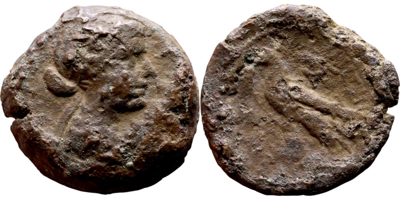 Cleopatra VII (51 – 30 BC) Bronze coin. Obverse: Diademed bust of Cleopatra righ...