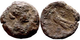 Cleopatra VII (51 – 30 BC) Bronze coin. Obverse: Diademed bust of Cleopatra right, Reverse:  Eagle standing left on thunderbolt, head left, wings clos...