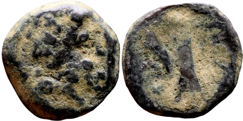 Hellenistic period coin (4-1 century BC) bronze coin

14mm 2.49g