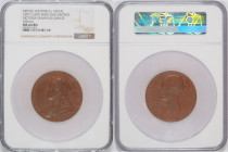 [*]1897年 イギリス ヴィクトリア ダイヤモンド・ジュビリー 銅メダル (55mm) NGC MS64 BN (6767696-003)
BHM# 3506, Eimer# 1817a, W&E# 3000A3, Bronze, 74.17g, 55.7mm, 1897年のビクトリア女王即位...