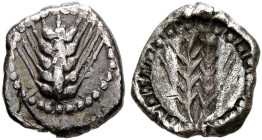 LUCANIA. Metapontion. Circa 540-510 BC. Obol (Silver, 8 mm, 0.36 g). Ear of barley with five grains. Rev. Incuse ear of barley with five grains. HGC 1...