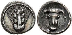 LUCANIA. Metapontion. Circa 440-430 BC. Obol (Silver, 18 mm, 0.40 g, 5 h). Ear of barley with four grains. Rev. Facing head of a bull. HGC 1, 1087. HN...