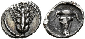 LUCANIA. Metapontion. Circa 440-430 BC. Obol (Silver, 8 mm, 0.40 g, 3 h). Ear of barley with four grains. Rev. Facing head of a bull. HGC 1, 1087. HN ...