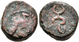 KHWARAZMIA. AE (Copper, 15 mm, 4.51 g), uncertain ruler, 4th century AD. Head of a king to right, wearing a crown shaped like a two-humped camel lying...
