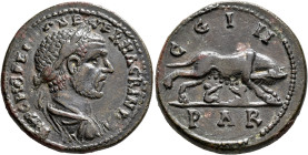 MYSIA. Parium. Macrinus, 217-218. 'Sestertius' (Orichalcum, 31 mm, 16.71 g, 7 h). IMP C M OPELIOS SEVER MACRINVS A Laureate and draped bust of Macrinu...