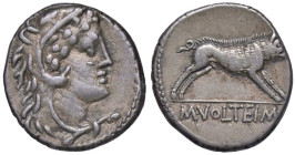 Volteia - M. Volteius M. f. (78 a.C.) Denario - Testa di Ercole avvolto nella pelle di leone a d. - R/ Cinghiale stante a d. - B. 2; Cr. 385/2 AG (g 4...