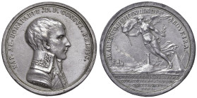 Medaglia 1801 Pace di Luneville D/ circolarmente: NAP. AL.(essandro) BONAPARTE. P.P. (Pater Patriae) CONSUL. PRIMUS. Busto a dx in uniforme militare. ...