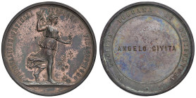 FIRENZE. Medaglia 1880 Esposizione Orticola italiana a Firenze, Premio a Angelo Civita dalla Regia SocietÃ toscana - Opus: Pieroni, Firenze - AE (g 26...