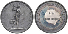 FIRENZE. Medaglia 1880 Esposizione Orticola italiana a Firenze, Premio al buon gusto - Opus: Pieroni, Firenze - AG (g 23,83 - Ã˜ 37,5 mm) Segnetti di ...