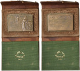 FIRENZE. Placchetta di matrimonio 1908 Sposi all'altare guardano verso l'orizzonte - Opus: Mario Nelli, Firenze - AE (g 38,04 - Ã˜ 50x35 mm) R, con su...