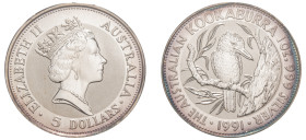 Australia, Elizabeth II, 1952-2022. AR “Kookaburra” 5 Dollars, 1991, Australian Kookaburra, Perth mint, 31.10g (KM138).

Uncirculated.