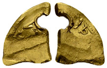 Boii AV 'Hackgold' fragment