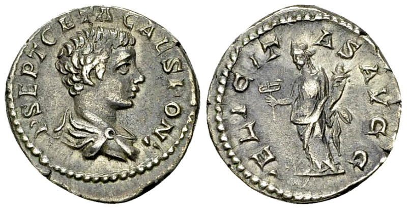 Geta AR Denarius, Felicitas reverse 

Septimius Severus (193-211 AD) for Geta ...