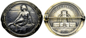 Bellinzona, AR Schützenmedaille 1929, Tiro federale